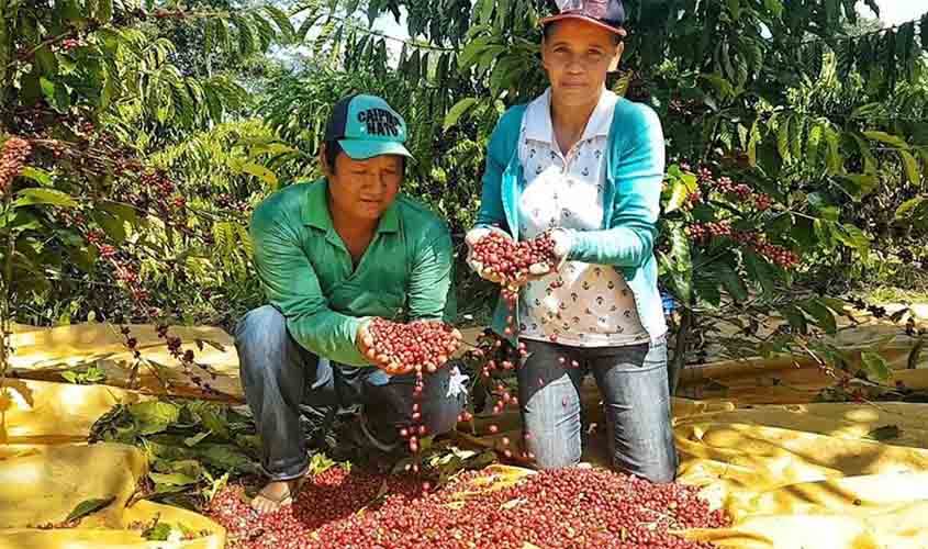 Agricultores indígenas de Rondônia vão obter financiamento do Pronaf; Declaração de Aptidão ao programa foi liberada