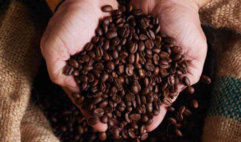 Cotações do café, açúcar e milho para esta quarta-feira (18)