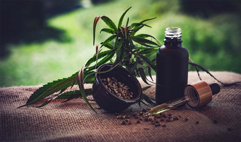 STJ autoriza três pacientes a cultivarem cannabis para fins medicinais