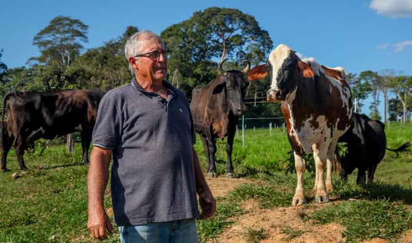 Vacas produzem mais leite em Rondônia com alimentação diferenciada e mudam realidade do campo