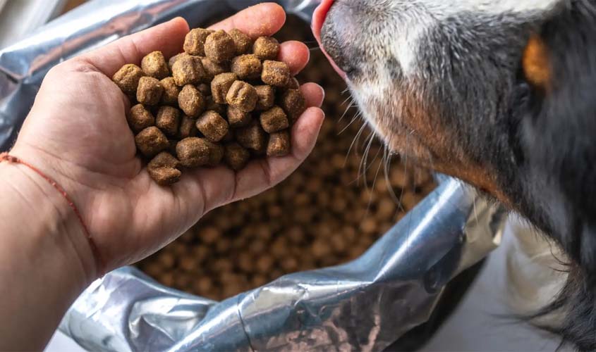 Distribuição de ração reforça apoio a protetores de animais