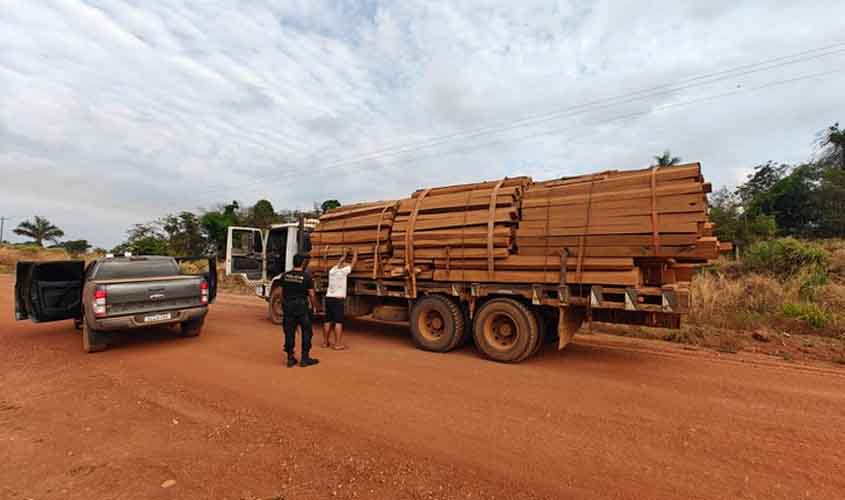 PF deflagra operação contra exploração ilegal de madeira da Terra Indígena Roosevelt/RO
