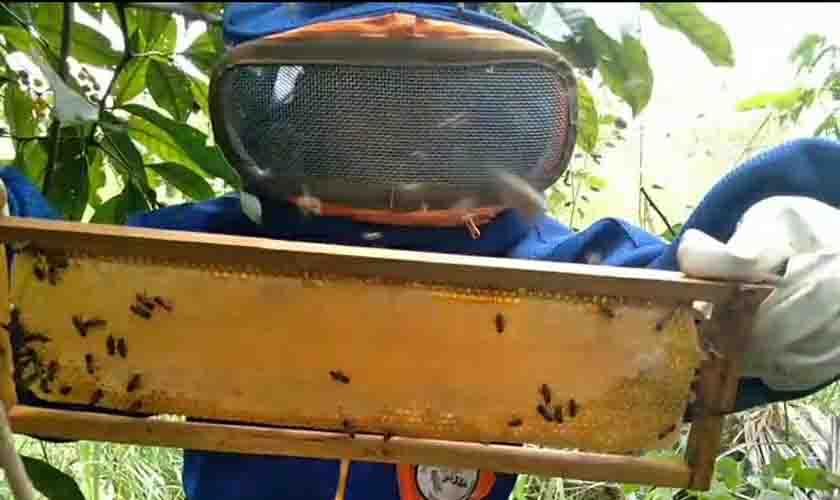 Apoio da Prefeitura fortalece ainda mais a agricultura familiar em Porto Velho