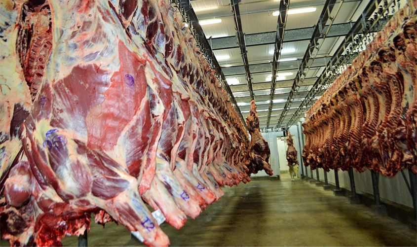 Em Rondônia, acumulado das exportações de carne bovina até outubro é 10% maior que 2018