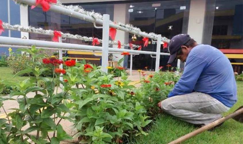 Multado por derrubada em sítio, pioneiro paga prestando serviços e cuidando de 'jardim da polícia'