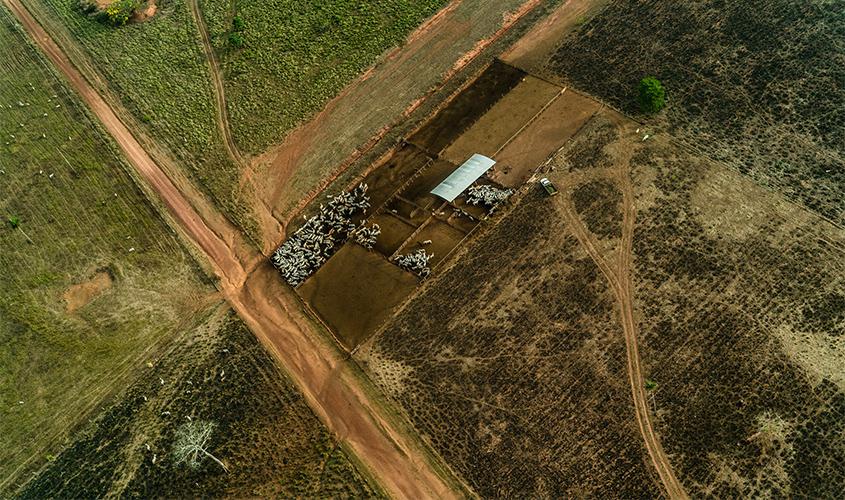 Desmatamento da Amazônia é o maior desde 2008