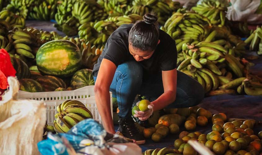 Ações da Emater em 2023 impulsionam a produção e fortalecem a agricultura familiar em Rondônia