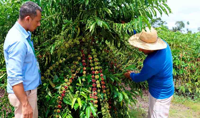 Assistência técnica e extensão rural projetam Rondônia no cenário internacional de produção de alimentos em 2024