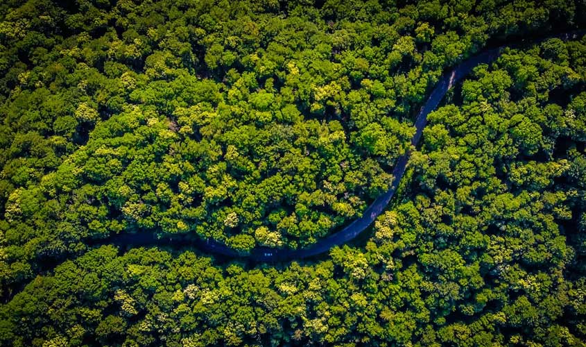 Por que Rondônia Merece Atenção no Turismo Brasileiro Atual