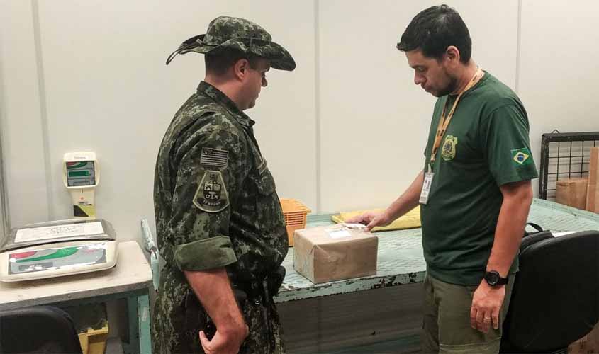 Ibama apreende oito cobras vivas enviadas pelos Correios para SP