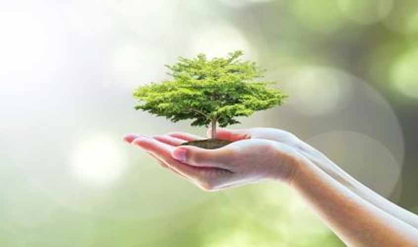 Produção de perícias e questões ambientais são tema de reunião entre MP e Sedam em Machadinho