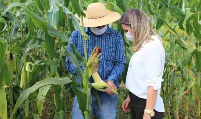 Prefeita visita produtor de silagem de milho e criador de gado leiteiro