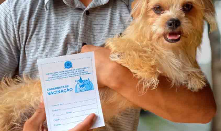 Vacinação antirrábica no Centro de Zoonoses passa a ser realizada apenas com agendamento