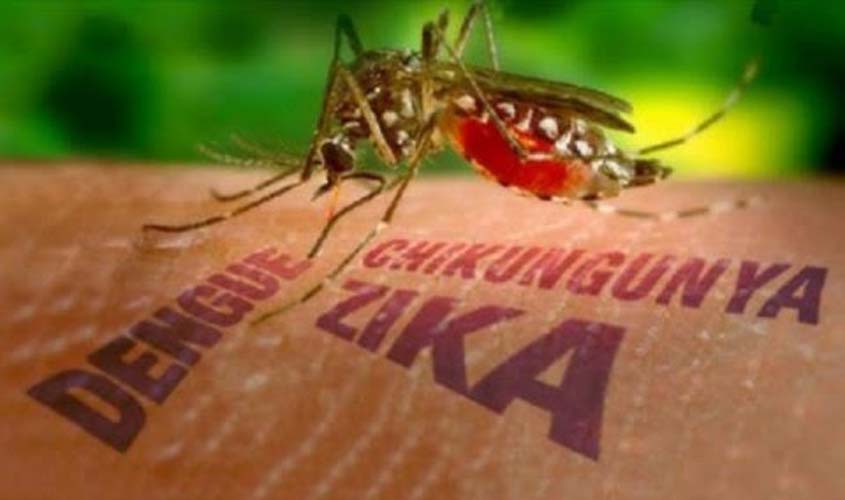 Identificação de Covid-19, Dengue, Zika e Chikungunya: Como Diferenciar os Sintomas?