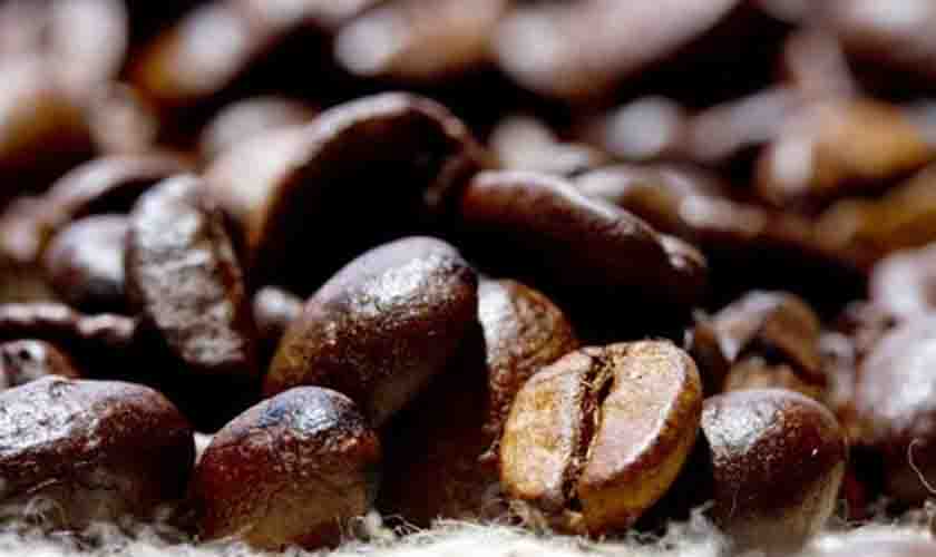 Café registra redução no preço nesta terça-feira (19)