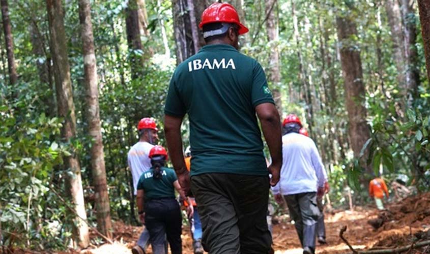 Ibama capacita servidores para manejo florestal