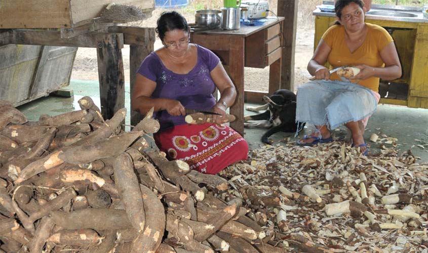 Fortalecimento da Agroindústria visa alavancar economia de Rondônia