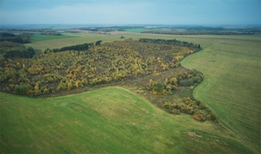 Ação civil pública reforça pedidos do MPF para garantir combate ao desmatamento na Amazônia