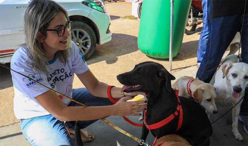 Sempba realiza feira de adoção de animais