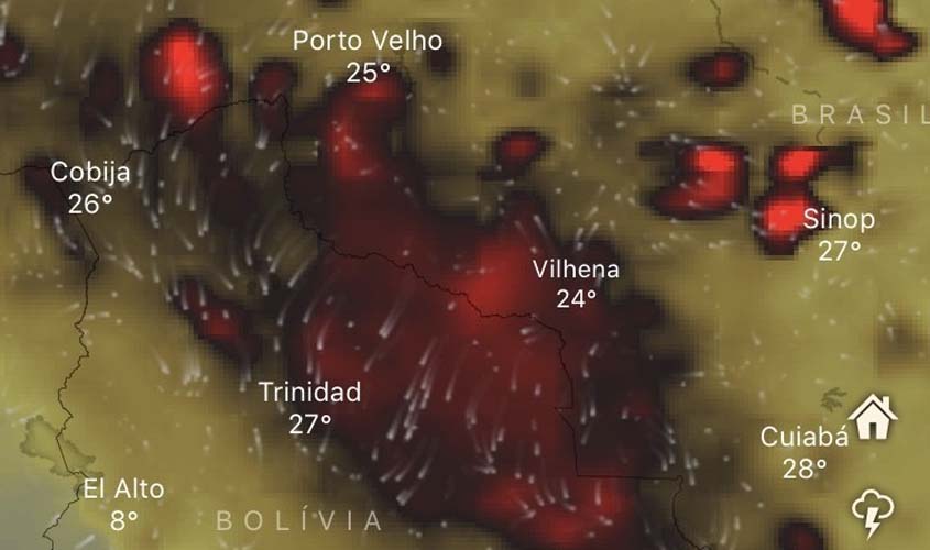 Bolsonaro taca fogo na Amazônia com seus discursos