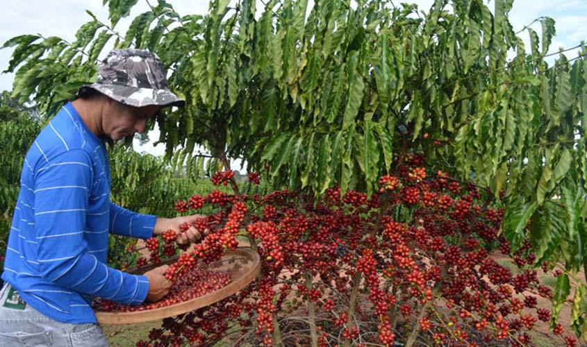 Café tem baixa no preço nesta segunda