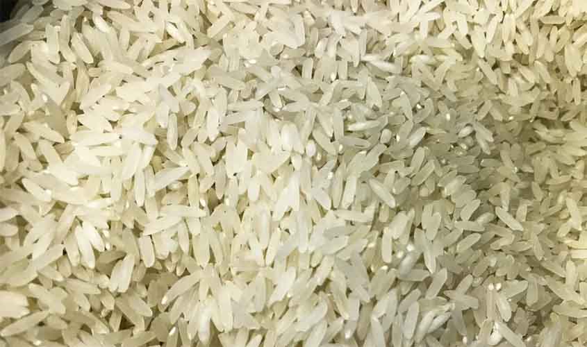 Queda no preço do arroz acende alerta no setor e pode impactar próxima safra