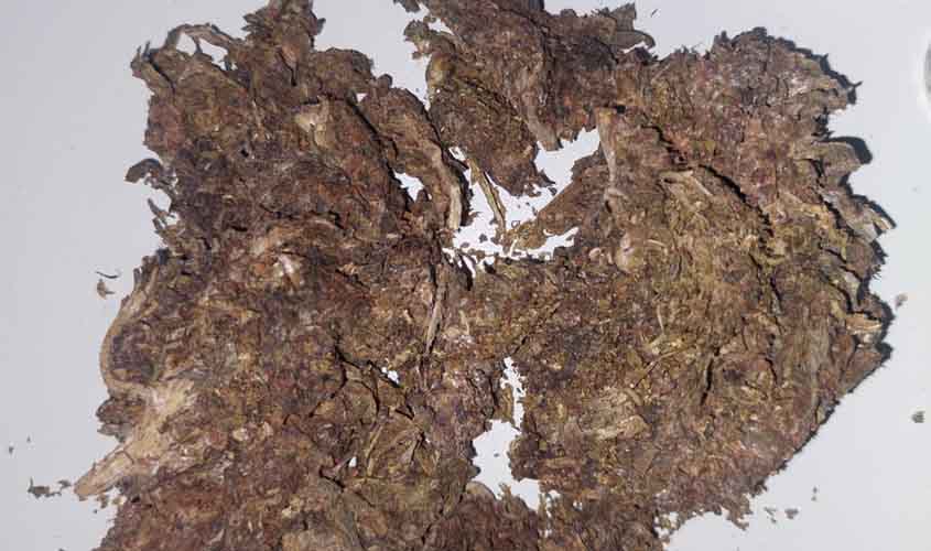 Operação Policial Resulta em Prisão por Tráfico de Drogas no Bairro Teixeirão