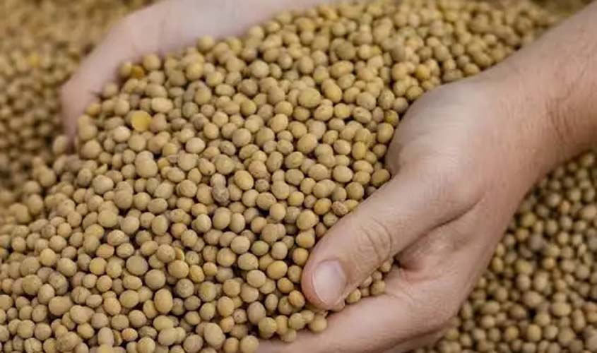 Soja sobe 1,07% no Paraná e chega a R$ 143