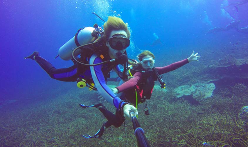 Famosos mergulham por lazer e pela profissão