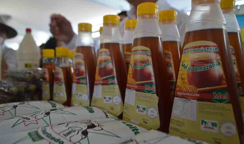 Rondônia ocupa a 8ª posição no ranking nacional de produção de mel de abelha