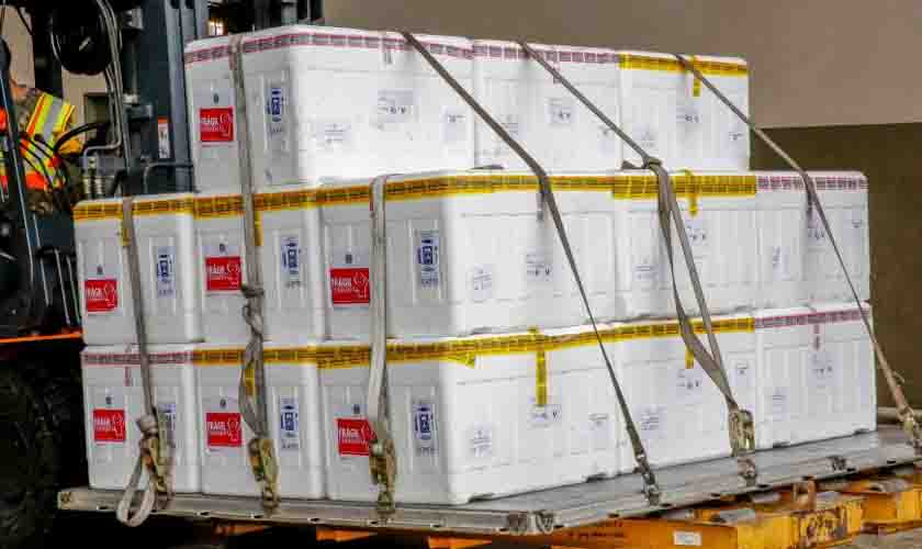 Entrega de doses de vacinas contra a covid-19 a Rondônia completa um ano; Ministério da Saúde já enviou mais de três milhões de imunizantes