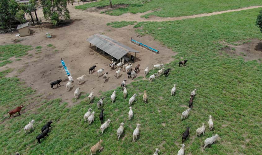 Após inspeção do Município, União Bandeirantes receberá empresa de laticínios na região