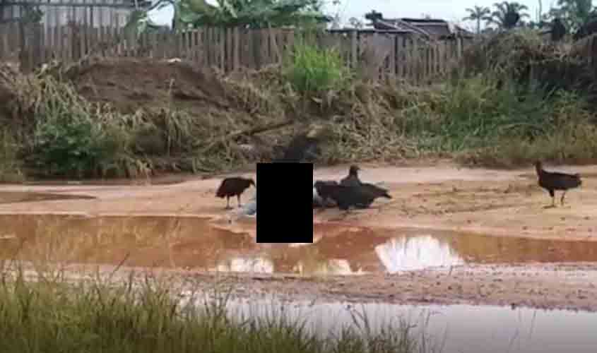 Corpo de foragido da justiça que foi executado no Distrito de Guatá está sendo devorado por urubus