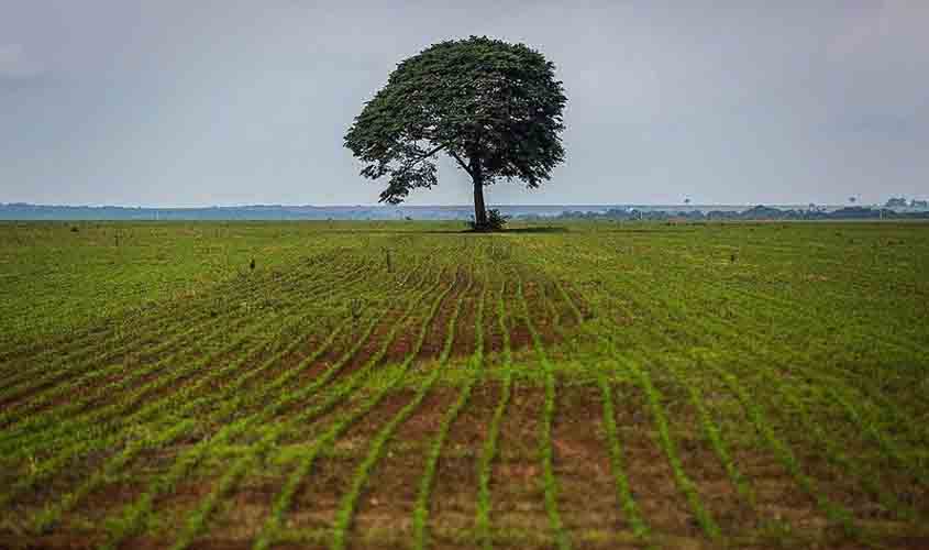 Agro é o setor que mais perde dinheiro com eventos climáticos na Amazônia