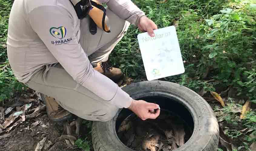 Relatório aponta bairros com maior índice de infestação do Aedes aegypti