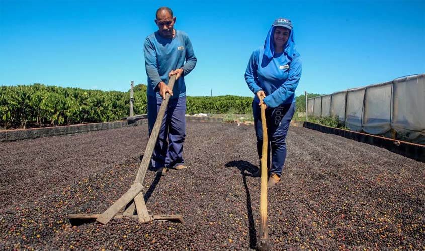 Rondônia se destaca no Brasil com notícias dinâmicas