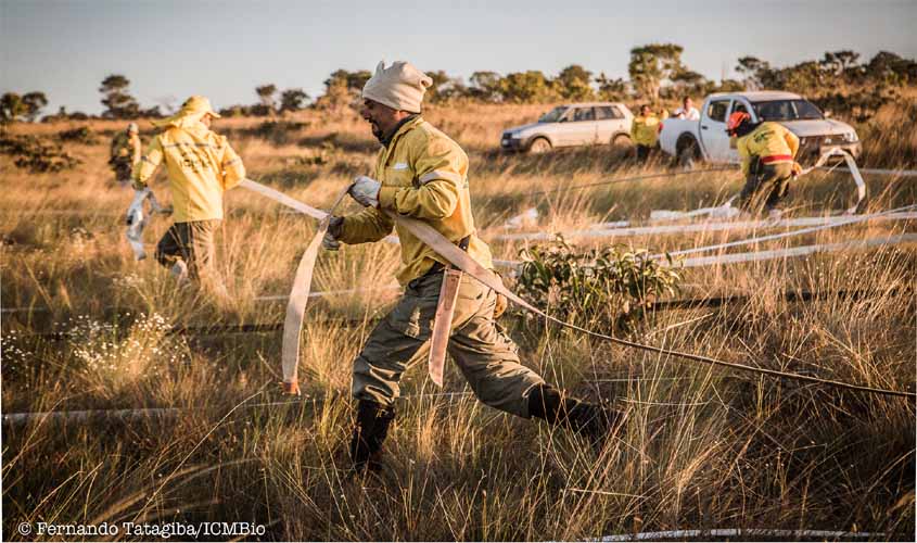ICMBio abre mais de mil vagas para brigadistas
