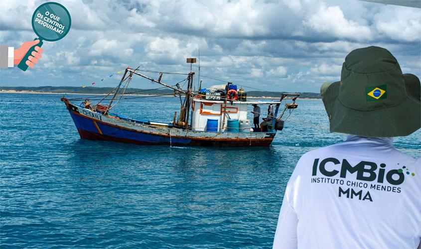 Dispositivo pode diminuir mortes de tartarugas