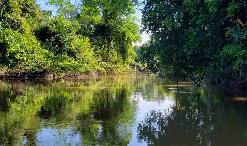 Aos 35 anos, Alvorada do Oeste cresce com a agropecuária e busca solução ambiental