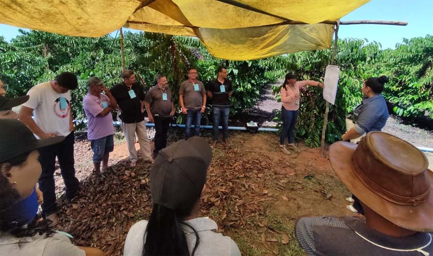 Dia de Campo do Café é promovido pela Emater no distrito de Jacinópolis, em Nova Mamoré