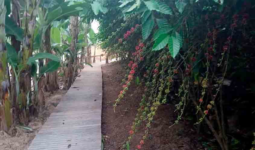 Vitrines tecnológicas destacam técnicas de manejo e cultivo de excelência