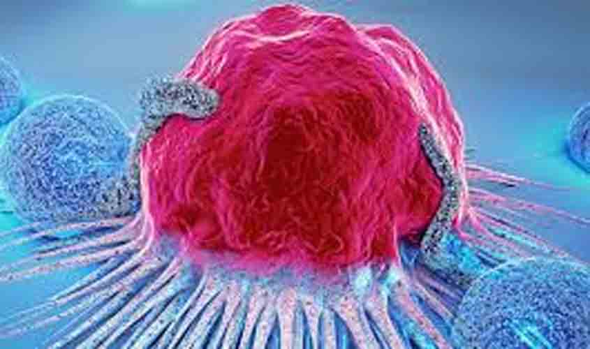 Existe vacina contra o câncer? Gastrite pode virar câncer? Confira as respostas para essas e outras dúvidas sobre a doença