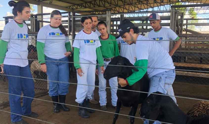 Ensino técnico prepara jovens para carreiras no agronegócio