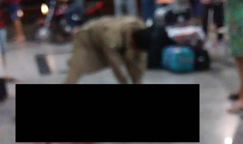 Homem é preso após matar desafeto com várias facadas dentro da rodoviária de Ji-Paraná