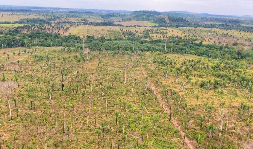 MPRO ajuíza ação civil pública por desmatamento ilegal
