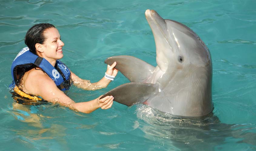 Nadar com os golfinhos é atração favorita dos turistas em Cancun