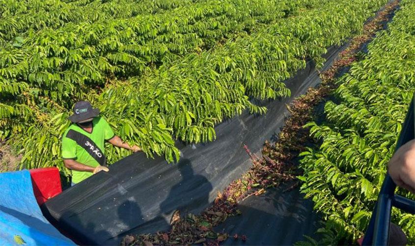 Prazo para inscrições do 5º Concafé em Rondônia é prorrogado até o dia 21 de agosto