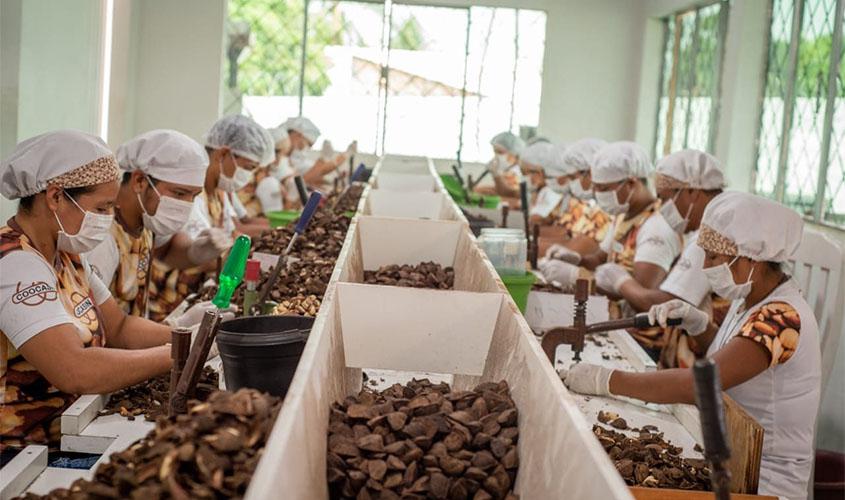 Produtores indígenas são beneficiados com a venda de Castanha-do-Brasil através do PAA de Rondônia