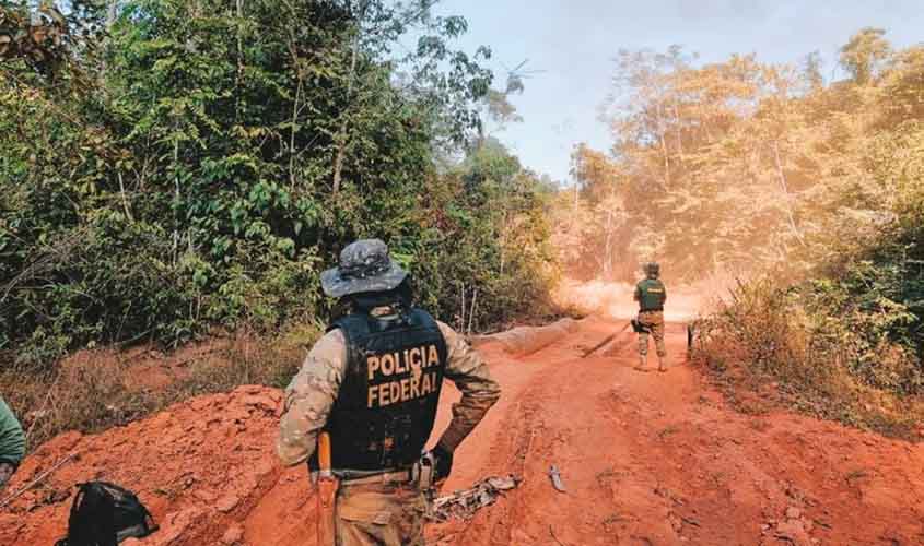Operação Sentinelas da Amazônia completa dois meses com redução de queimadas e prisões por crimes ambientais