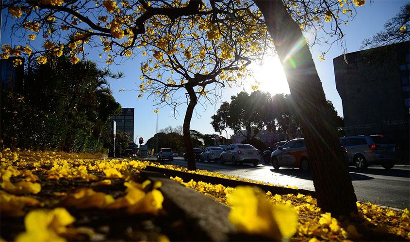 Hoje é dia: confira fatos e datas de 20 a 26 de setembro